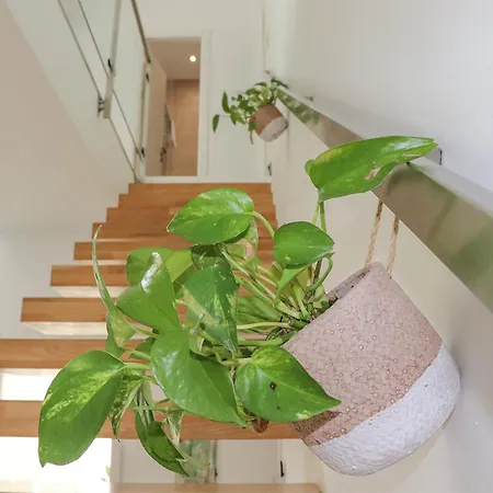 Rural Casa Praillo - Priego De Cordoba - *